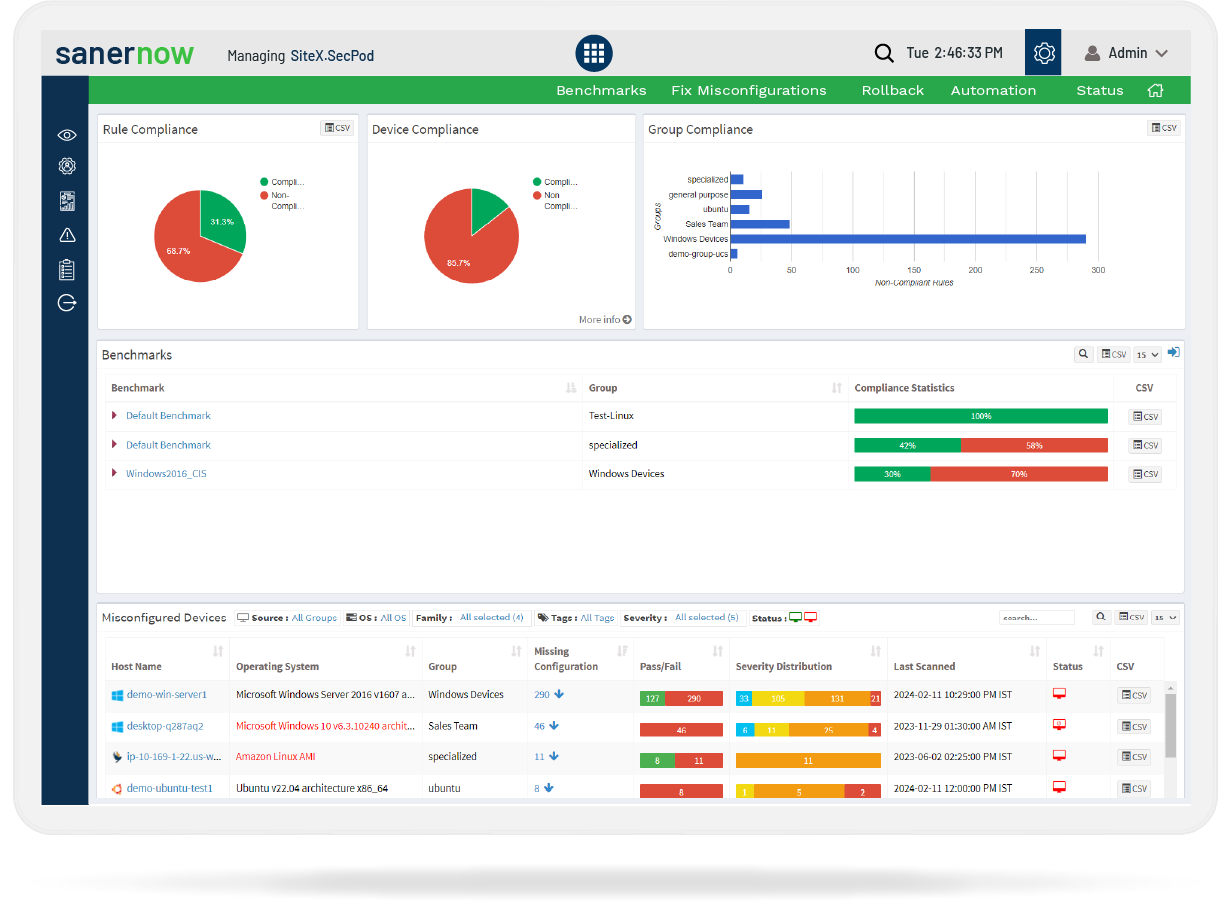 screenshot of Saner CVEM